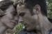 ''Ain't Them Bodies Saints'': Casey Affleck i Rooney Mara wyjęci spod prawa [wideo]