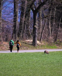 Zwiastuny wiosny. Jakie są oznaki końca zimy?