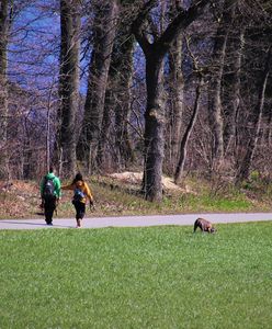 Zwiastuny wiosny. Jakie są oznaki końca zimy?