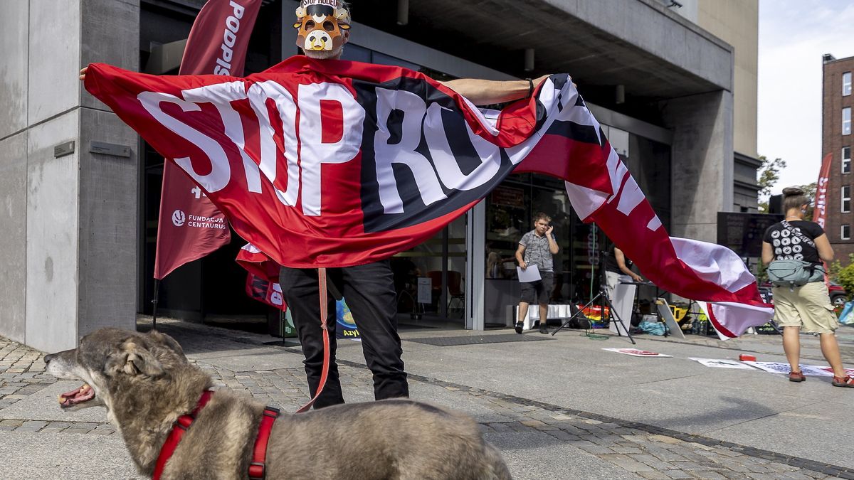 Protest przeciwko organizacji rodeo w Gliwicach