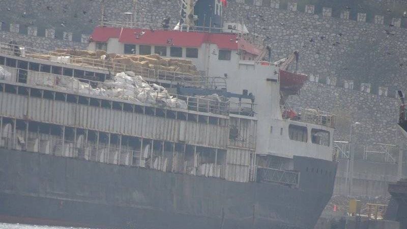 Statek z bydłem niewpuszczony do portu. Dramat zwierząt 