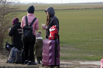 PESEL dla uchodźców z Ukrainy. Urzędy przyjmują już wnioski