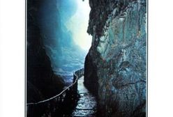 Błękitnokrwiści 4. Dziedzictwo