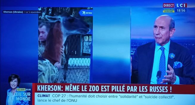 Canal+ przywraca kanały znanego nadawcy