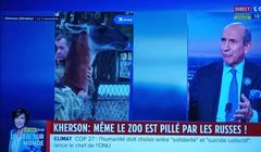 Canal+ przywraca kanały znanego nadawcy