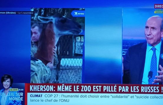 Canal+ przywraca kanały znanego nadawcy