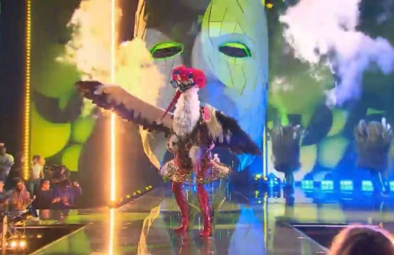 "Mask Singer". Widzowie obstawiają, kto kryje się w kostiumach Ważki, Deszczu, Bociana i Koguta
