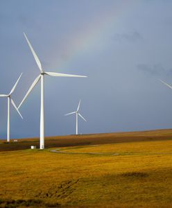 Zbyt hojny i przedwczesny. Przedsiębiorcy apelują do rządu: wstrzymajcie program