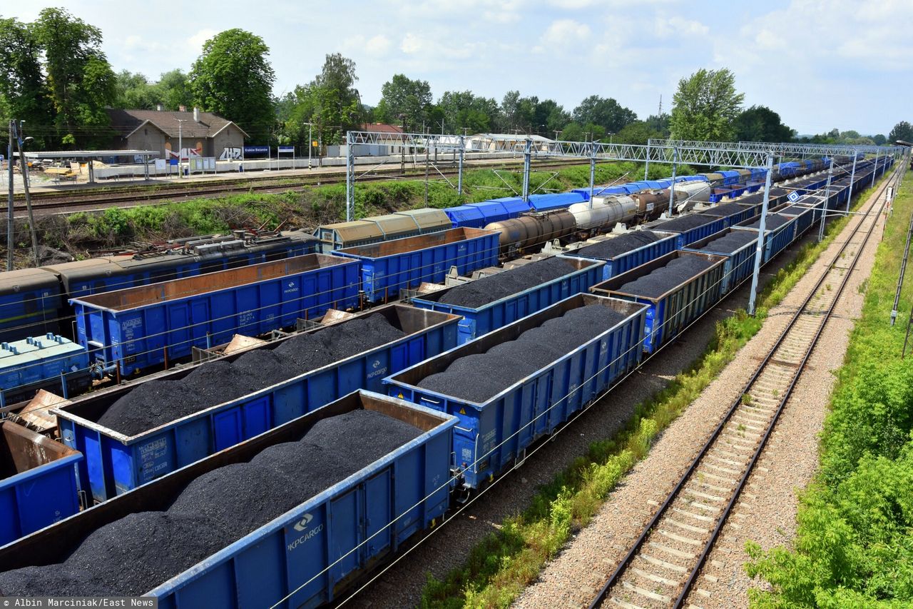 Import węgla to niejedyny problem. "Tego Polsce brakuje"