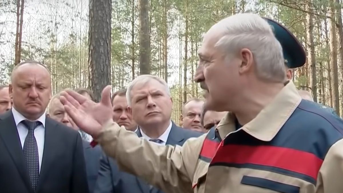 Reżim Łukaszenki wylesia Białoruś 