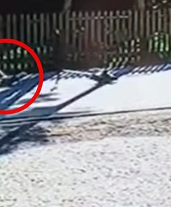 Spadł z hulajnogi i sunął po asfalcie. Nagranie mrozi krew w żyłach