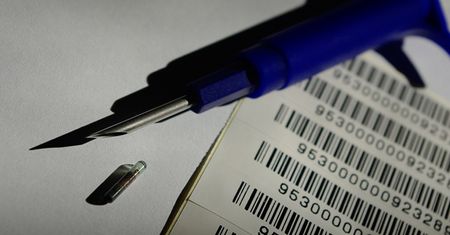 Bezpłatne czipowanie psów w Lublinie. Łatwiej odnajdziesz zagubionego pupila