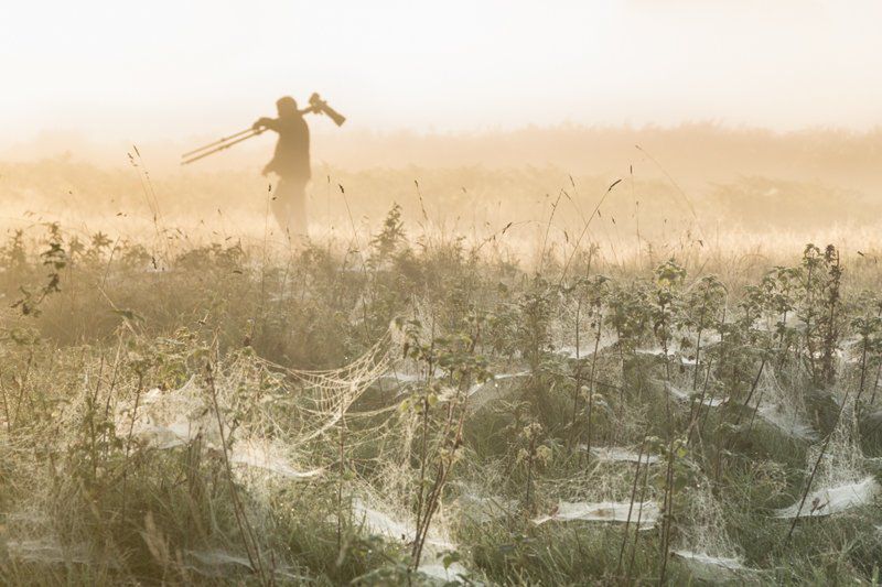 Magdalena Wasiczek z nagrodą Grand Prix konkursu International Garden Photographer of the Year 2015 4