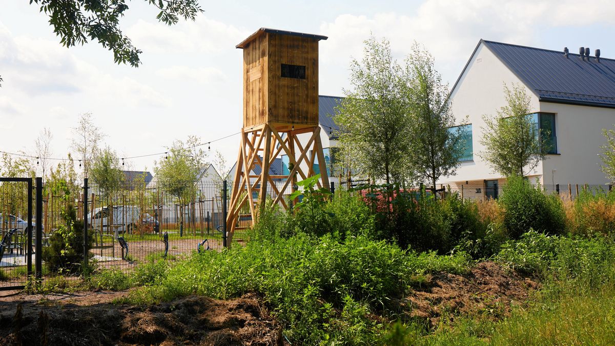 Ambona myśliwska na osiedlu mieszkalnym? Ekolodzy alarmują