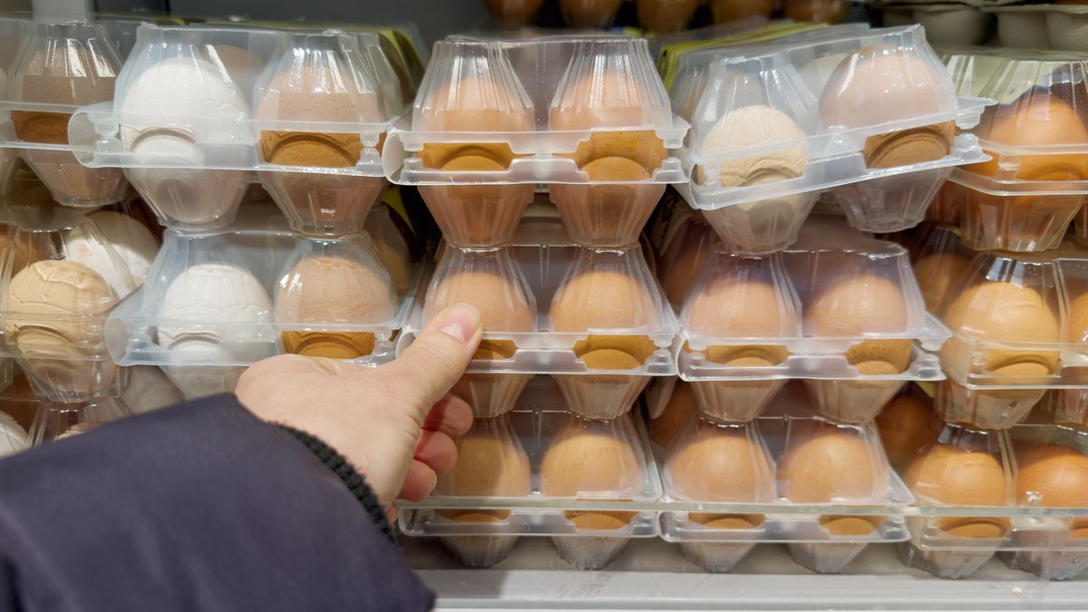 Wybór tych jajek w sklepie rozwiewa wiele dylematów