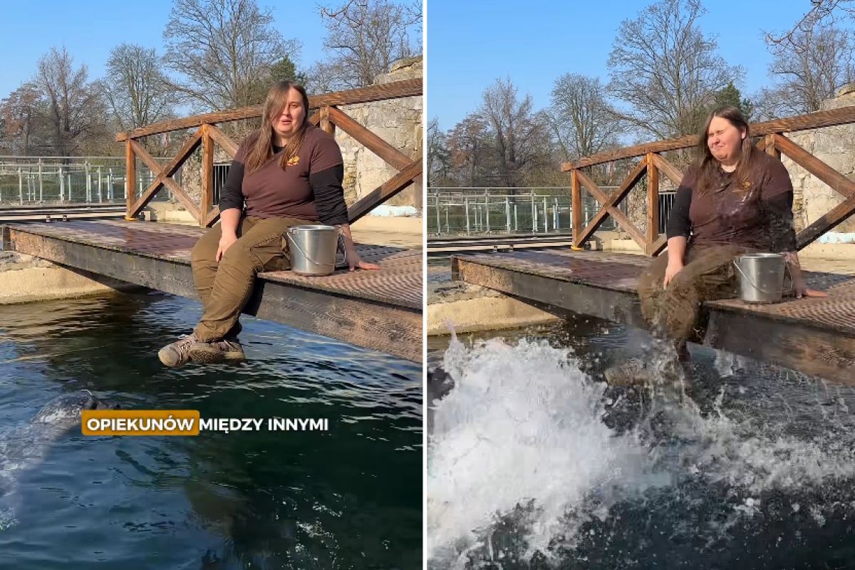 "Śmigus-dyngus" we wrocławskim zoo. Zwierzę zrobiło opiekunce psikusa