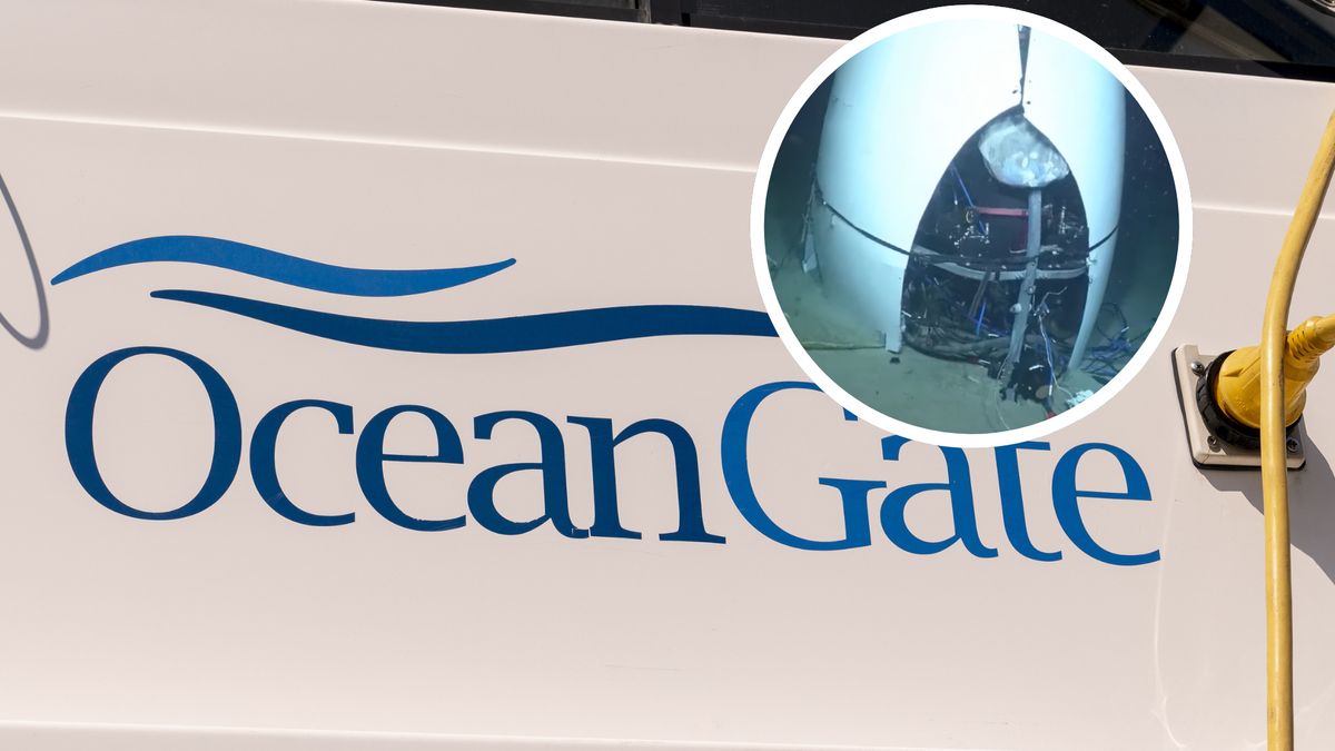 Ujawnili nagranie z dna oceanu