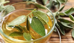 Naturalny antybiotyk z babcinego parapetu. Przygotuj napar lub ziołowe masło
