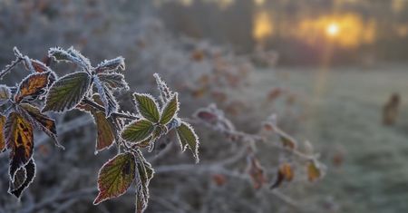 IMGW nie ma wątpliwości. W środę spadnie śnieg
