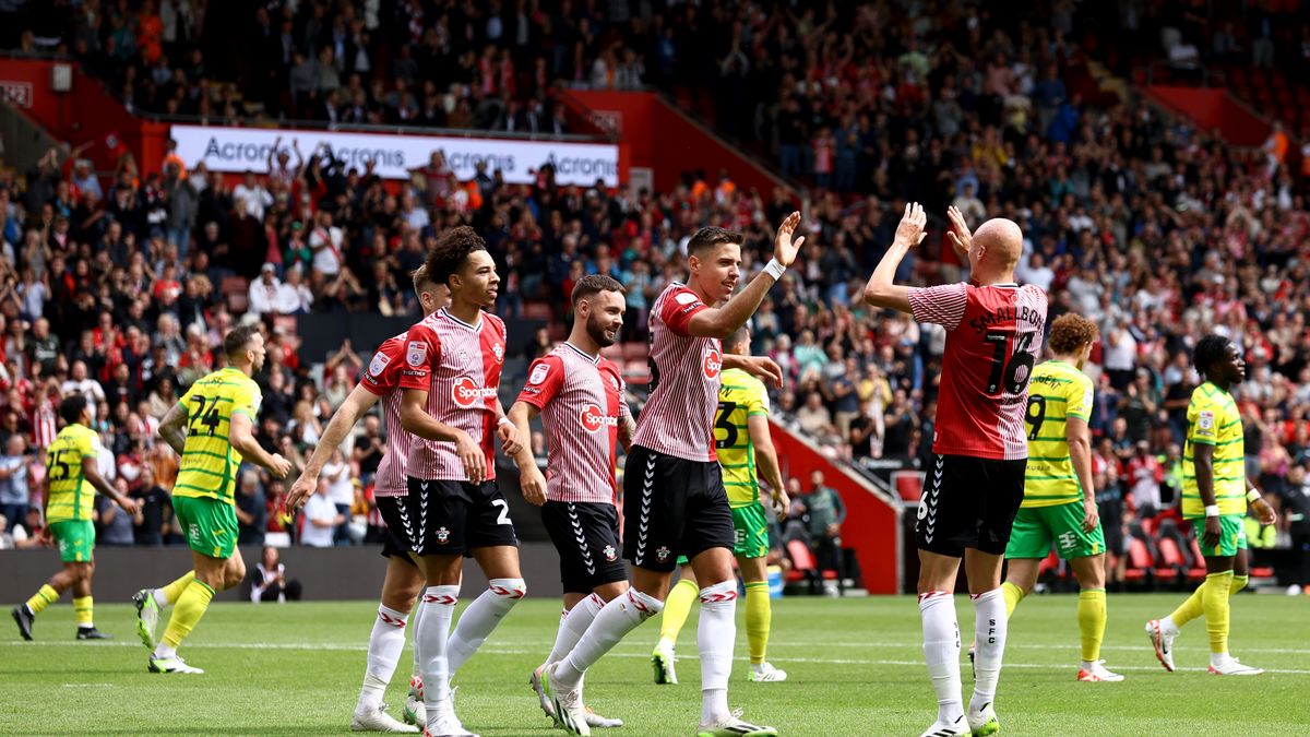 Zdjęcie okładkowe artykułu: Getty Images / Matt Watson/Southampton FC / Na zdjęciu: Jan Bednarek po golu w meczu z Norwich