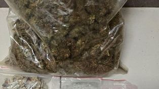 Jelenia Góra: Pechowy "skręt" przed domem. 26-latek wpadł z hurtową ilością narkotyków