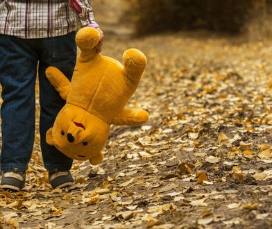 Śląskie. Ten widok zmroził policję. 5-latek sam na spacerze w Koziegłowach