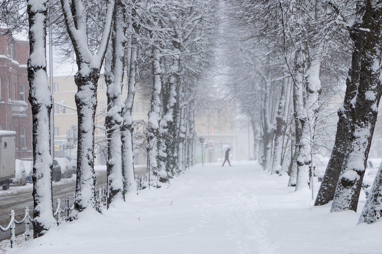 Silne opady śniegu. IMGW ostrzega przed warunkami pogodowymi