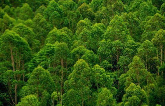 Grupa robocza Ad Goes Green opracuje ekorekomendacje dla producentów reklam