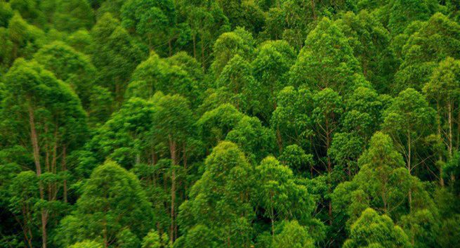 Grupa robocza Ad Goes Green opracuje ekorekomendacje dla producentów reklam