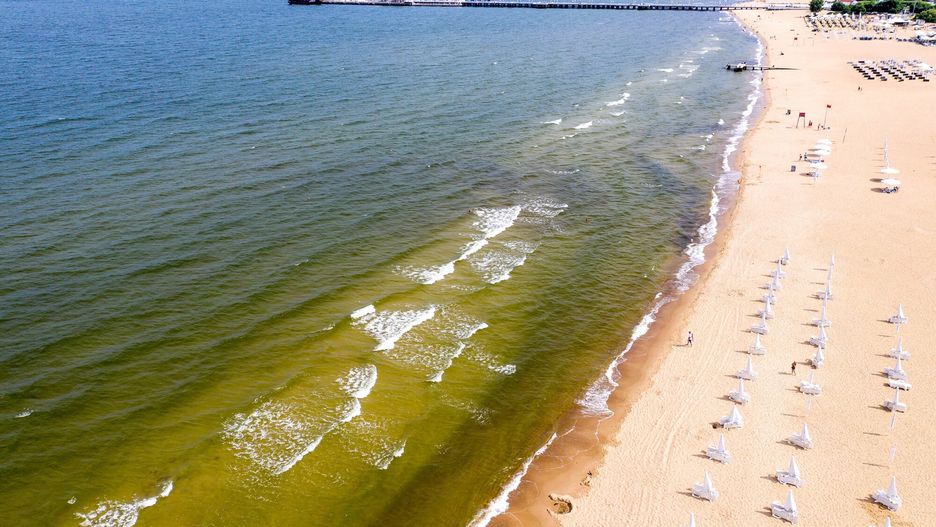 Plaże w Sopocie z powodu sinic są zamykane na kilka dni w sezonie