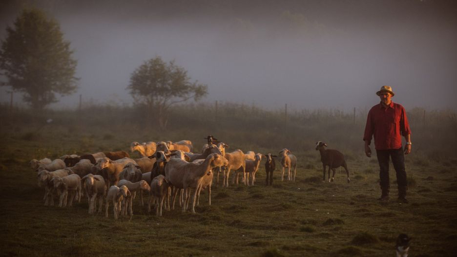 Stéphane Lefevre pokochał warmińskie klimaty
