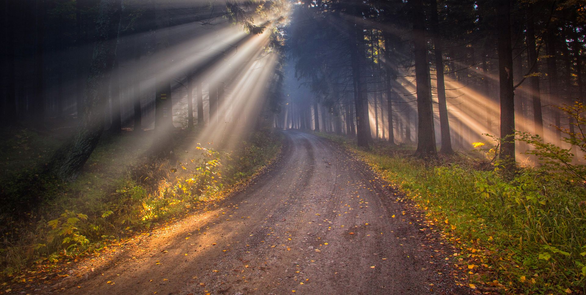 Powody, dla których warto mieć przy sobie aparat [poradnik] 8