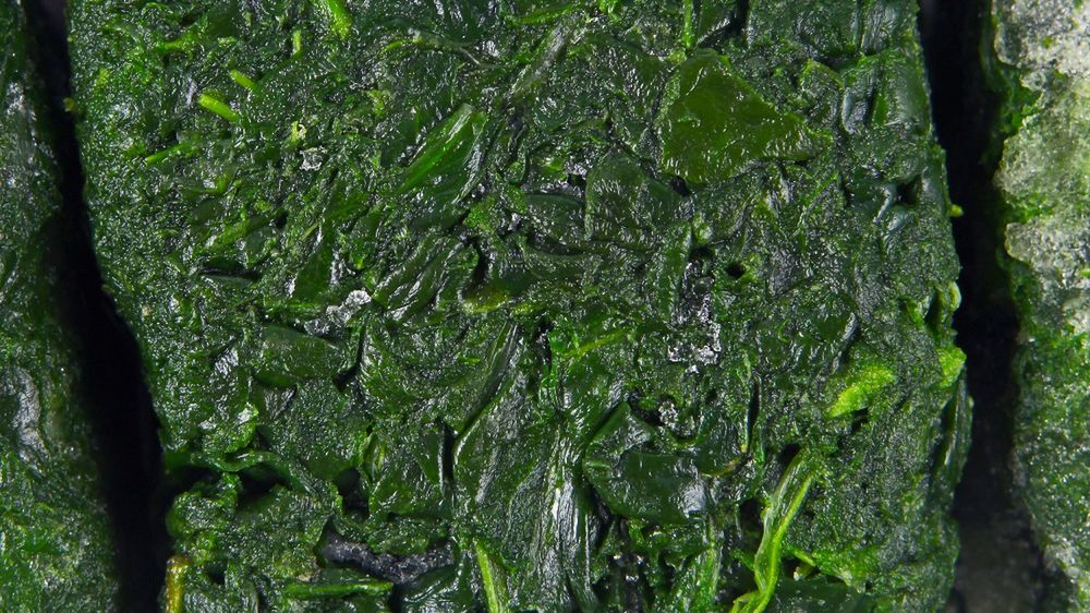 Klucz do sprawności umysłowej