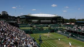 "Walka Dawida z Goliatem". Aktywiści nie ustępują ws. planów Wimbledonu