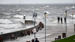 Ostrzeżenie IMGW. Porywisty wiatr przed poprawą pogody