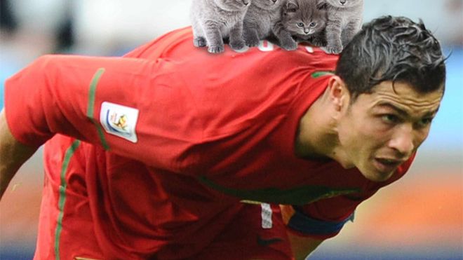 Kochasz piłkę i koty? Na pewno spodoba ci się ten projekt 1