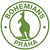 Bohemians 1905 Praga