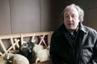 Zmarł jeden z twórców owieczki Dolly