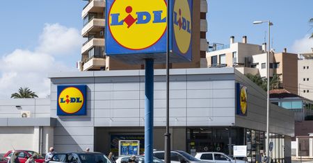 Lidl szuka stażystów. Płaci 3500 złotych