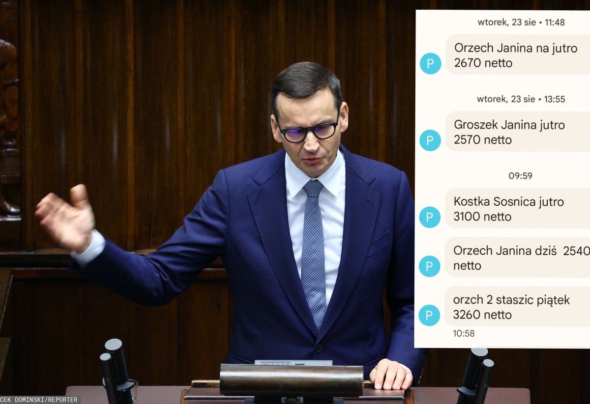 Premier Mateusz Morawiecki zapewniał w Sejmie, że węgiel będzie tańszy. Po prawej na fot. oferty zakupu węgla netto. Po doliczeniu VAT, transportu i marży będą o kilkaset złotych wyższe