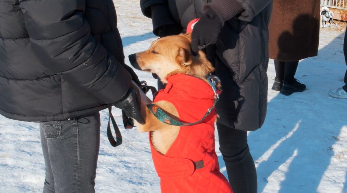 Joanna Przetakiewicz odwiedziła schronisko w Kruszewie
