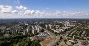 Częstochowa: Miasto walczy z niszczeniem zieleni