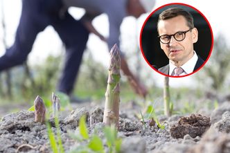 Polacy na saksach. Po okresie zbiorów praca czeka w produkcji, logistyce i budowlance