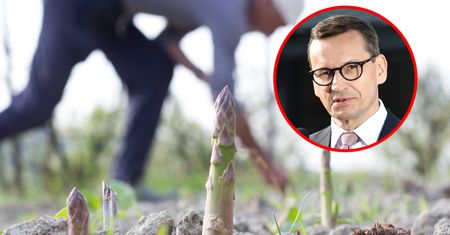 Polacy na saksach. Po okresie zbiorów praca czeka w produkcji, logistyce i budowlance