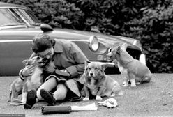 Królowa Elżbieta zostawiła ukochane pieski. W dniu pogrzebu czekały na jej trumnę w Londynie