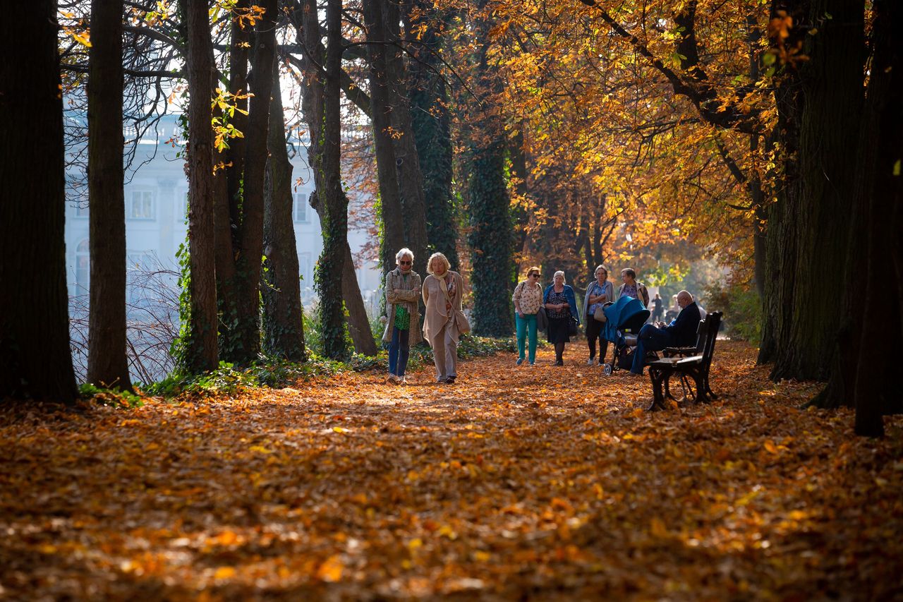 Jesien w Lazienkach Krolewskich. Warszawa, 22.10.2019