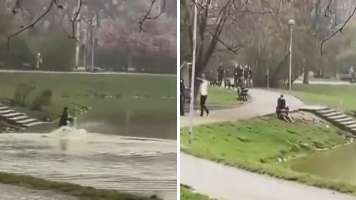 Niecodzienne sceny w centrum Wrocławia