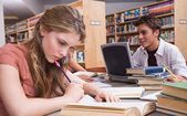 Nowe zastosowania biblioteki internetowej Wolne Lektury