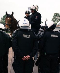 Warszawa. 14 koni pełni służbę w policji. KSP ogłasza przetarg na zakup kolejnych