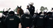 Warszawa. 14 koni pełni służbę w policji. KSP ogłasza przetarg na zakup kolejnych